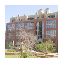 Orchidhouse condos- Brickyard on Mill - Tempe Lofts